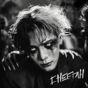 Cheetah歌词 - 王嘉尔