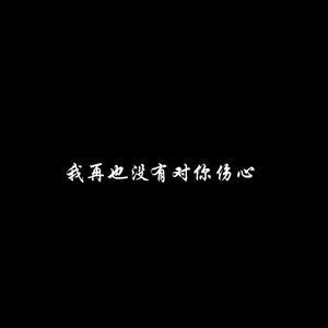 我再也没有对你伤心 (BGM版)歌词(歌手:Coef)