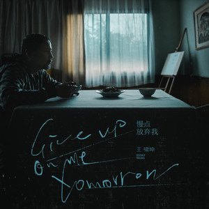 慢点放弃我歌词 - 王啸坤