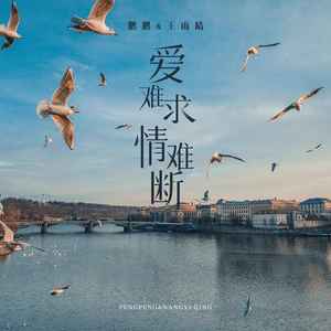爱难求情难断歌词 - 鹏鹏&王雨晴