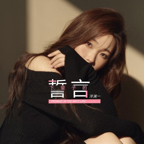 下辈子的誓言(洋澜一版)歌词(歌手:洋澜一)