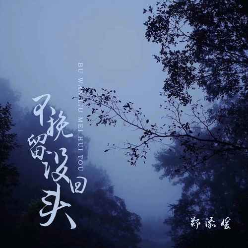 不挽留没回头歌词(歌手:郑添媛)