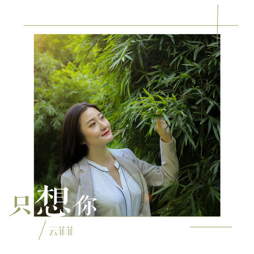 只想你歌词（歌手:云菲菲）