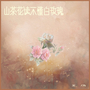 山茶花读不懂白玫瑰 (教室版)歌词 - 王为