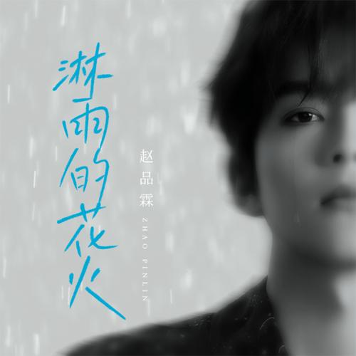 淋雨的花火歌词 - 赵品霖