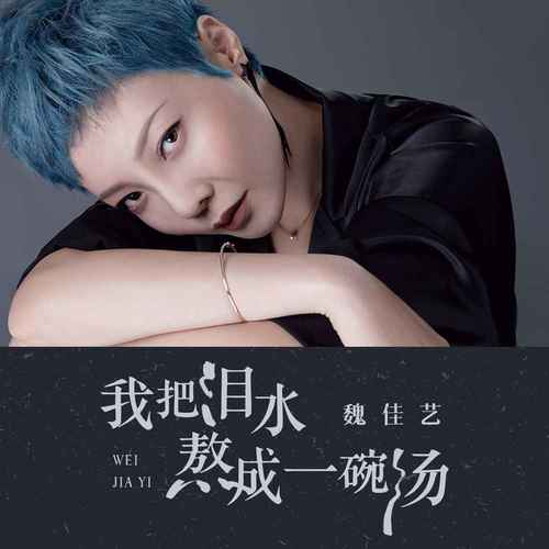 我把泪水熬成一碗汤歌词 - 魏佳艺