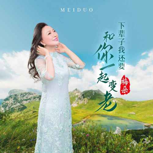 下辈子我还要和你一起变老歌词 - 梅朵