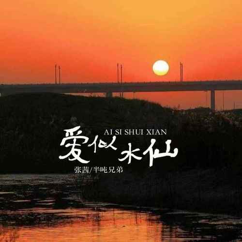 爱似水仙 (合唱版)歌词(歌手:张茜/半吨兄弟)