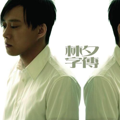 你的名字 我的姓氏歌词 - 张学友