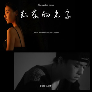 封存的名字歌词 - 贺敬轩/陈艺柳