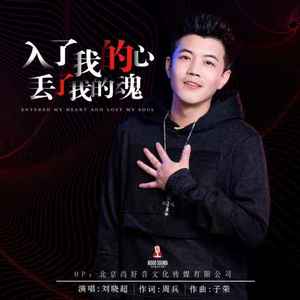 入了我的心丢了我的魂歌词 - 刘晓超