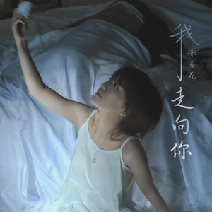 我走向你歌词 - 谢春花