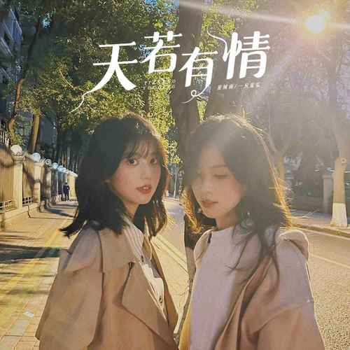 天若有情（合唱版）歌词 - 夏城南/一只瓜瓜