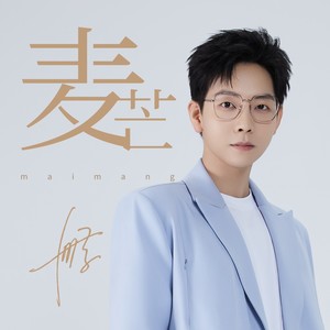 麦芒歌词（歌词:胡夏）