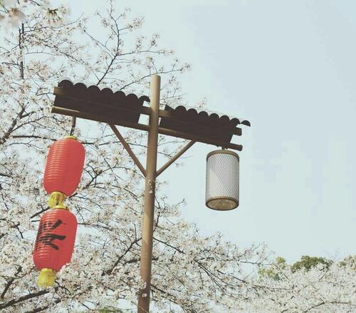 美好事物歌词（歌手:房东的猫）