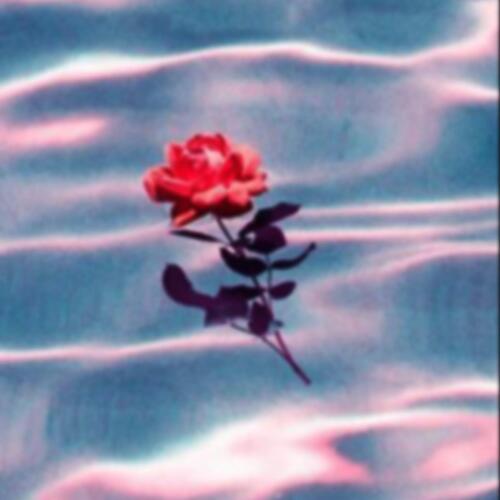 小花歌词 - FLYNNGUO弗林