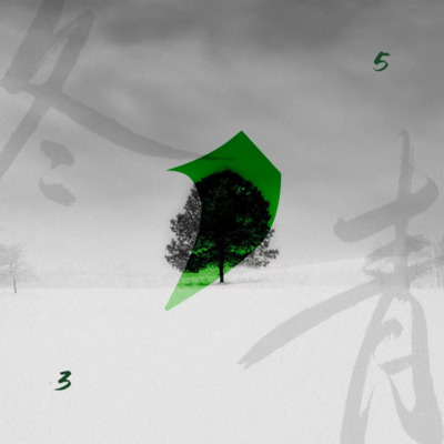 冬青歌词 - 30年前,50年后