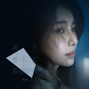 再也想不起那时候的我歌词 - 采子