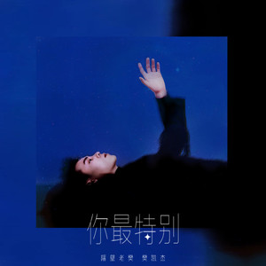 你最特别歌词 - 隔壁老樊