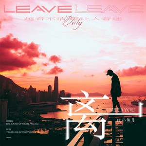 离 (DJ版)歌词 - DJ小鱼儿