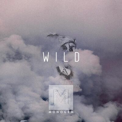 Wild(狂野)歌词 - Monogem