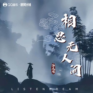 相思无人问歌词 - 洛先生