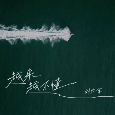 越来越不懂(越来越不懂爱)歌词 - 刘大拿