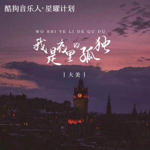 我是夜里的孤独 (DJ九锐版)歌词 - 大美