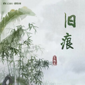 旧痕歌词 - 王秋实