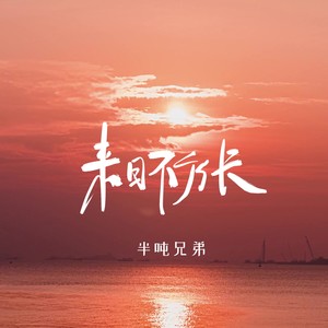 来日不方长(烟嗓版)歌词 - 半吨兄弟