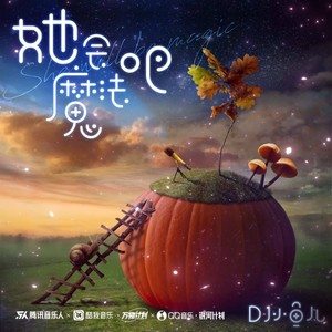 她会魔法吧歌词 - DJ小鱼儿