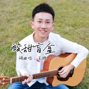 酸甜盲盒歌词 - 王搏