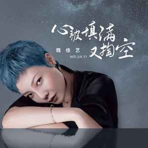 心被填满又掏空歌词 - 魏佳艺