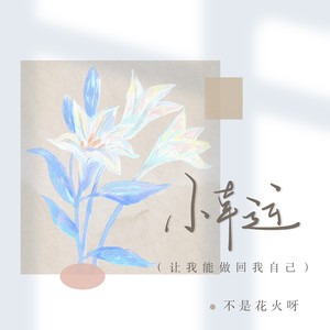 小幸运（让我能做回我自己）歌词 - 不是花火呀