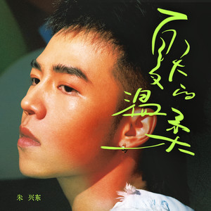 夏天的温柔歌词 - 朱兴东