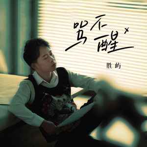 骂不醒歌词 - 胜屿