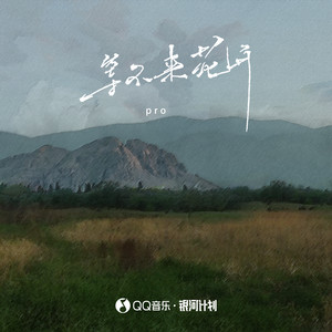 等不来花开 (DJ版)歌词 - pro