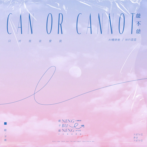 能不能·2023(能不能就对着我说爱我)歌词 - AY楊佬叁 / WiFi歪歪