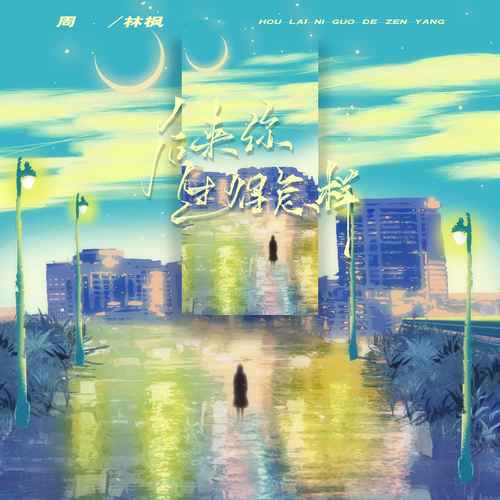后来的你过的怎样歌词 - 周林枫