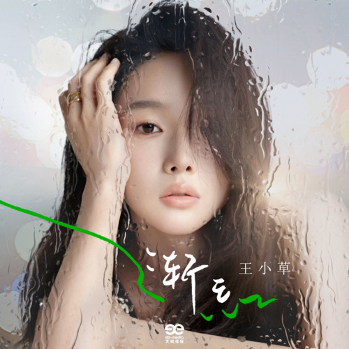 渐忘歌词 - 王小草