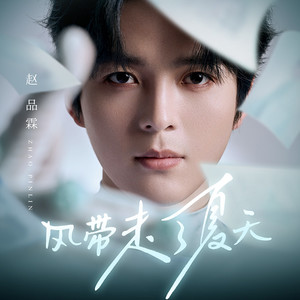 风带走了夏天歌词 - 赵品霖