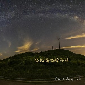 想把我唱给你听歌词 - 半吨兄弟 /王小草