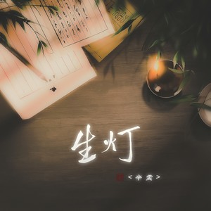 生灯歌词 - 辛雯