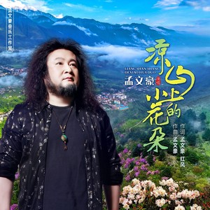 凉山上的小花朵歌词 - 孟文豪