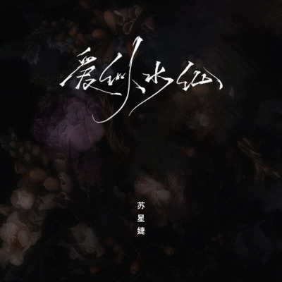爱似水仙(温柔女声版)歌词 - 苏星婕