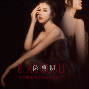 保质期歌词 - 彭十六