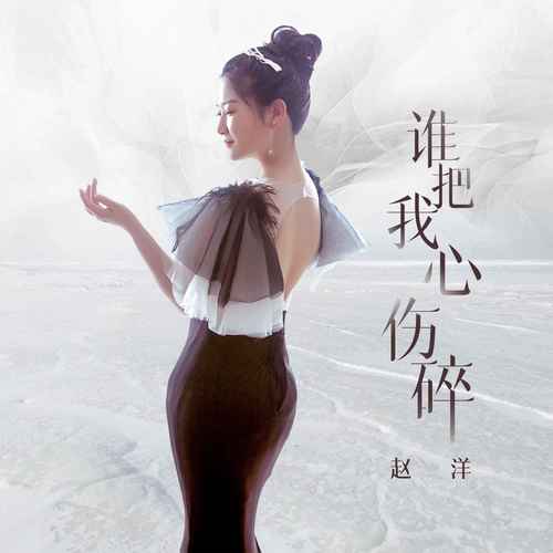 谁把我心伤碎歌词 - 赵洋