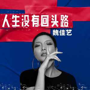 人生没有回头路歌词 - 魏佳艺