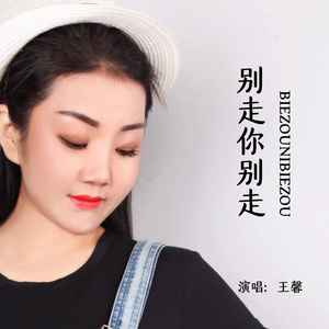 别走你别走歌词 - 王馨