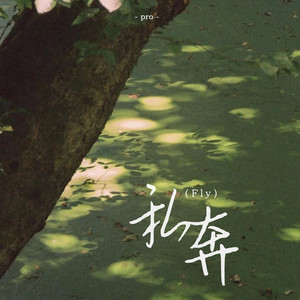 私奔(Fly)歌词 - pro